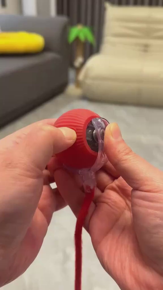 Automatic moving cat toy